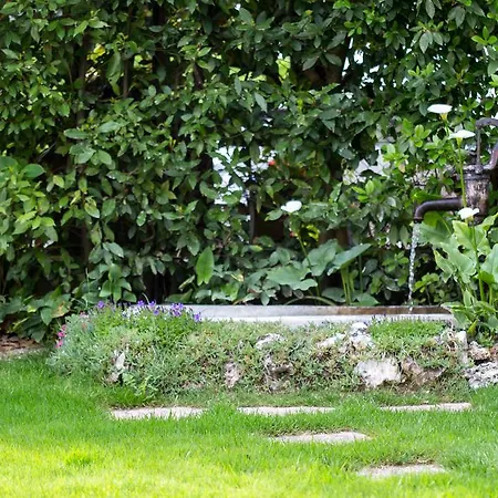 Arco Di Pietra Bed & Breakfast Quinto Di Treviso