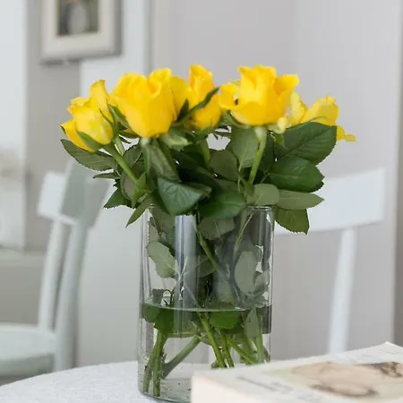 Arco Di Pietra Bed & Breakfast Quinto Di Treviso