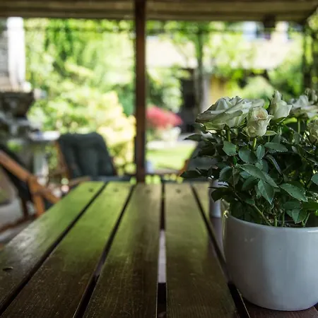 Bed & Breakfast Arco Di Pietra *